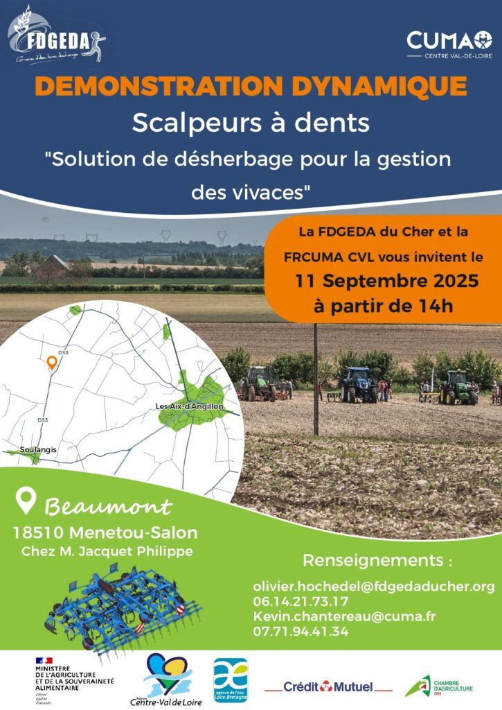 Démonstration dynamique "Scalpeur à dents"