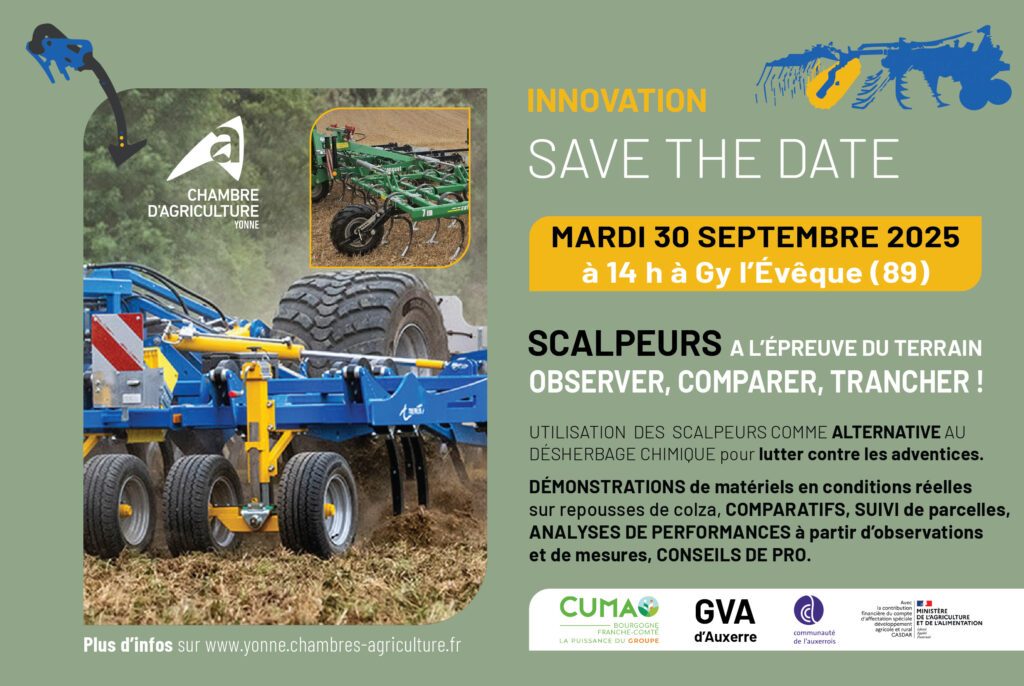 scalpeurs Cuma