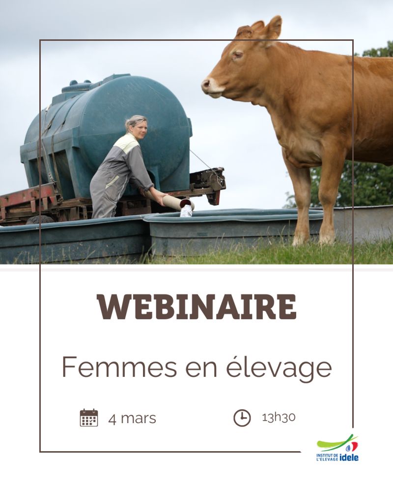 Webinaire femmes en élevage