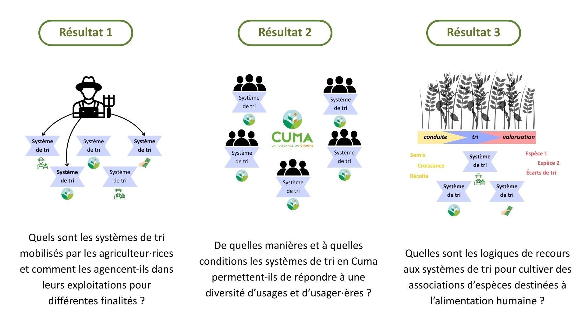 stage lucie 3 resultats