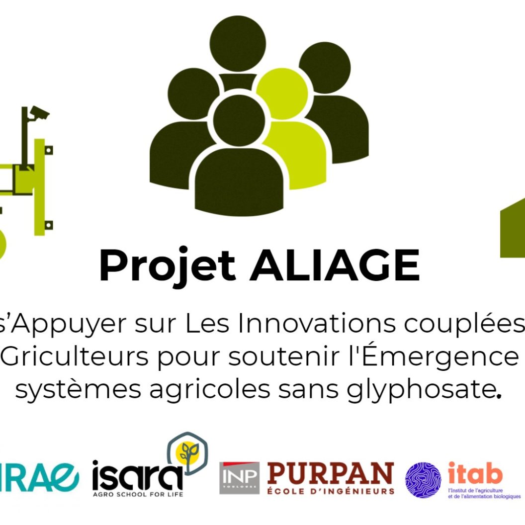 projet aliage