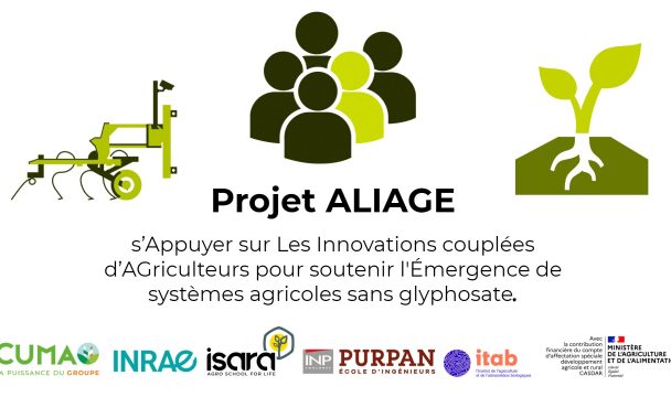 projet aliage