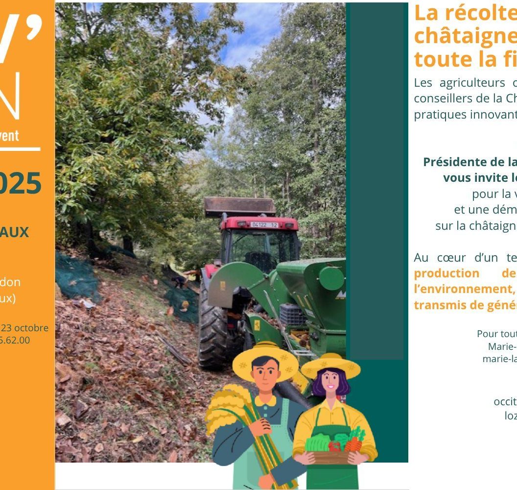 recolte chataigne