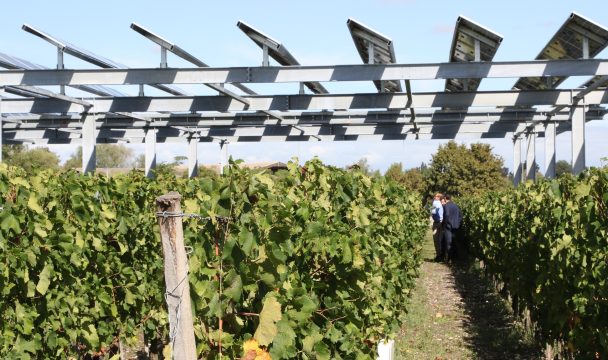 Vitisolar Cuma vigne agrivolatïsme nouvelle aquitaine