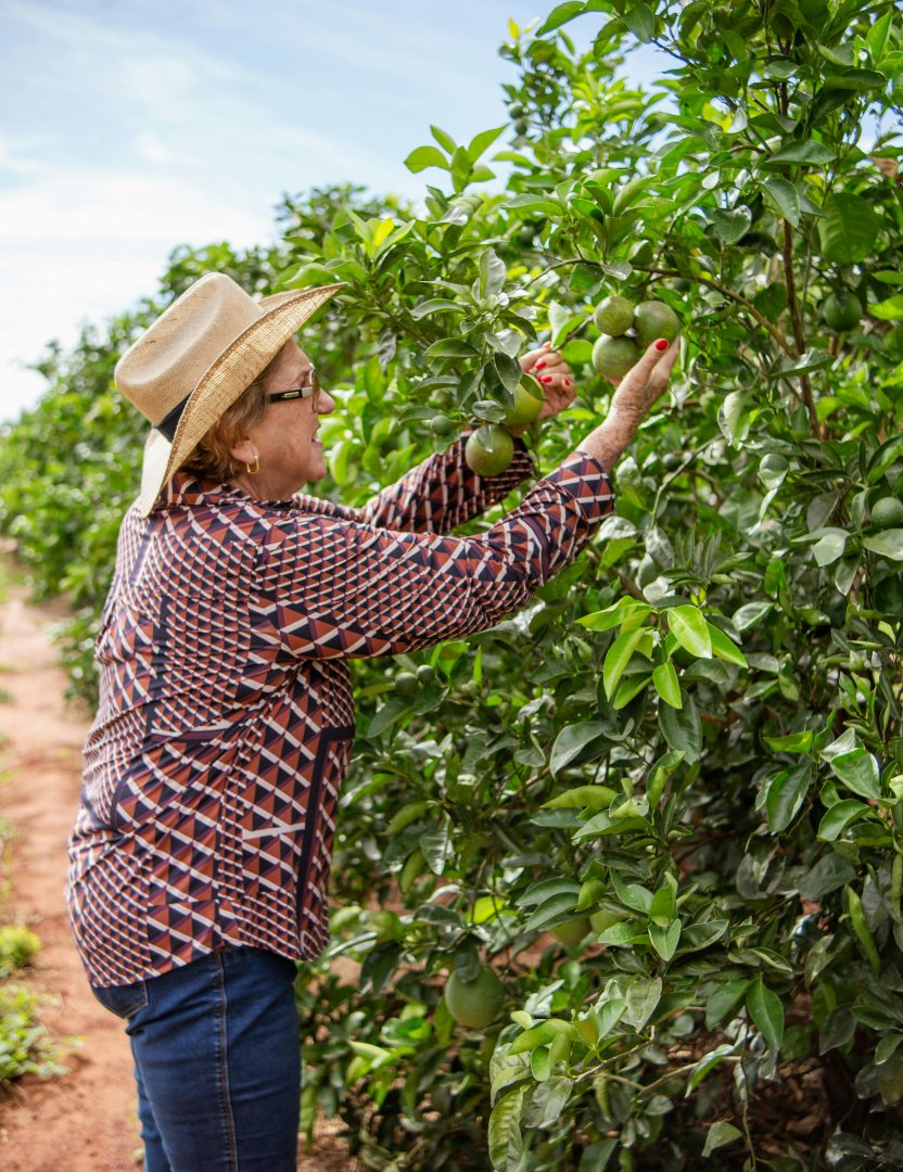 Dame cueillant des pommes contrats saisonniers